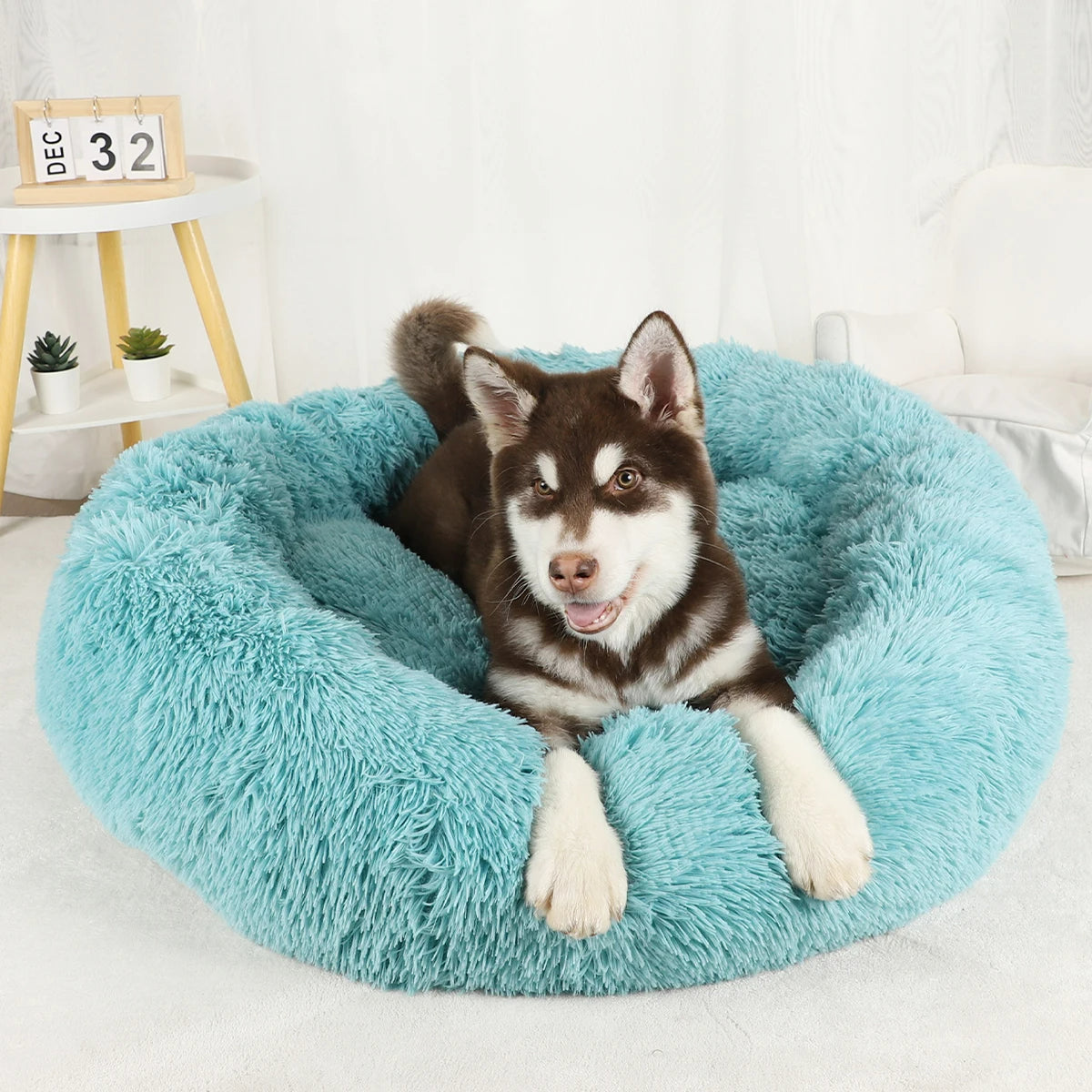 Furry Dream Donut