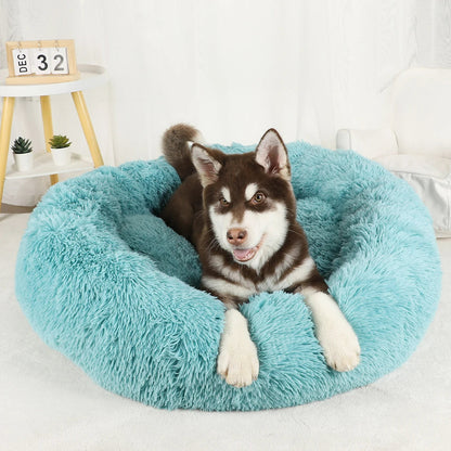 Furry Dream Donut