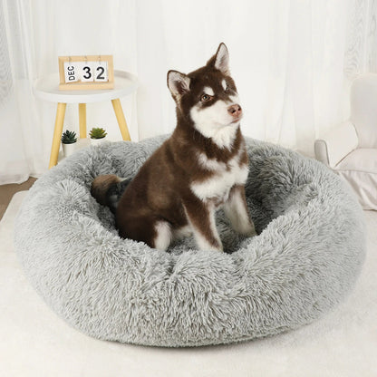 Furry Dream Donut
