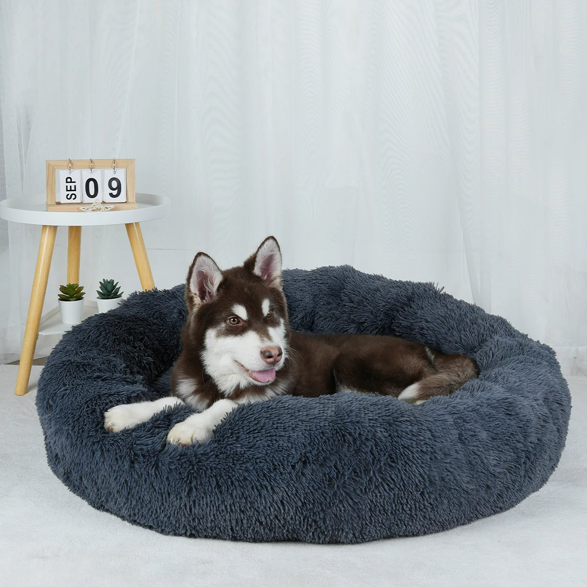 Furry Dream Donut
