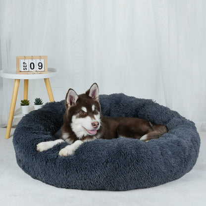 Furry Dream Donut
