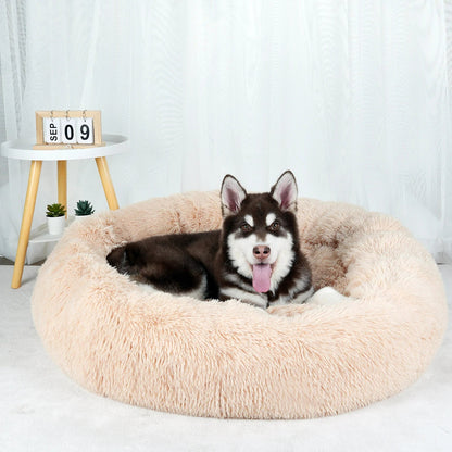 Furry Dream Donut