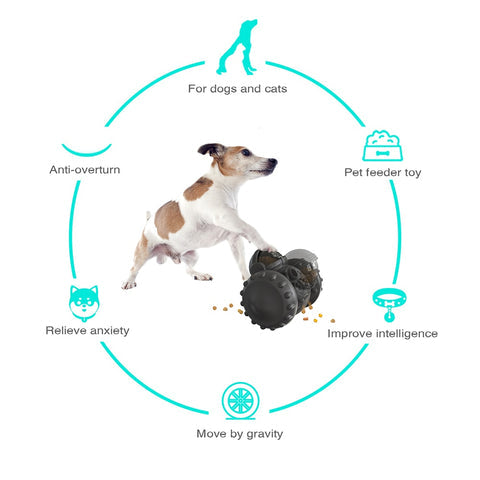 Smart Swing Feeder