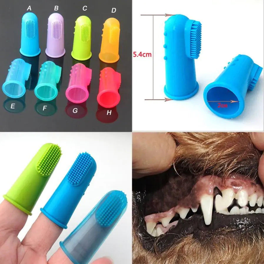 Tailz Tartar Tamer