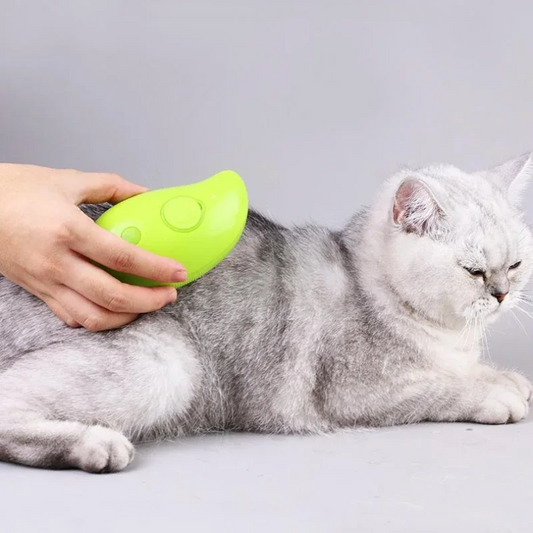 Purrfect Steam