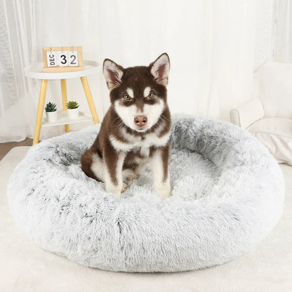 Furry Dream Donut