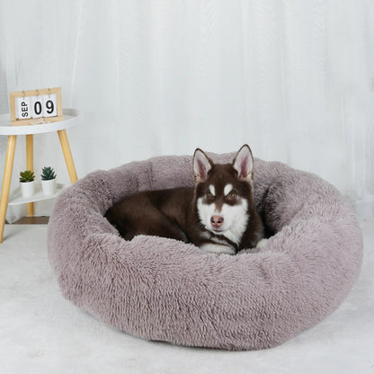 Furry Dream Donut