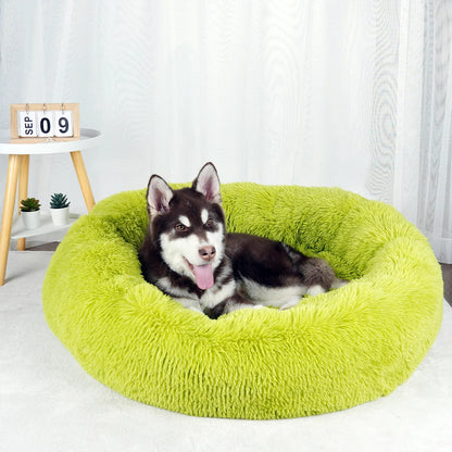 Furry Dream Donut