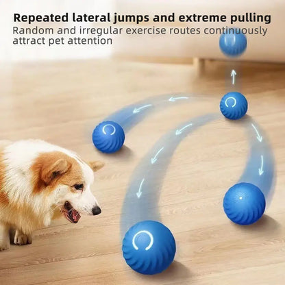 Tail Wag Tumbler