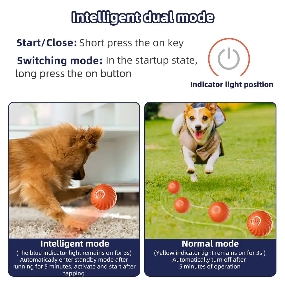 Tail Wag Tumbler