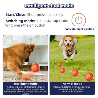 Tail Wag Tumbler