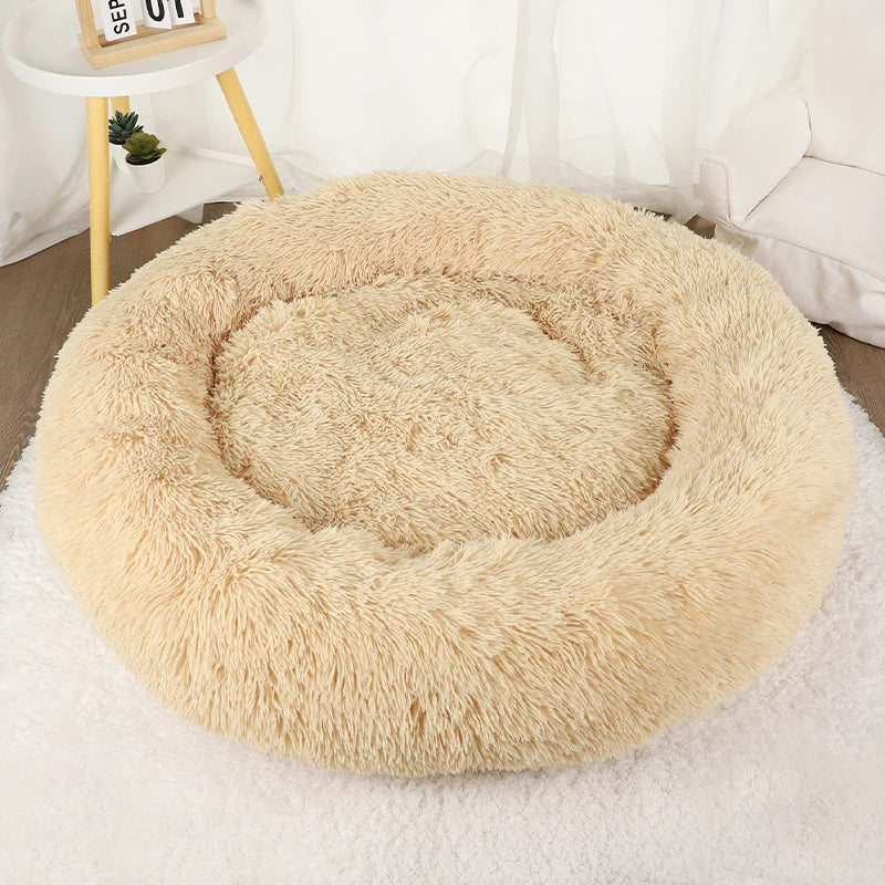 Furry Dream Donut
