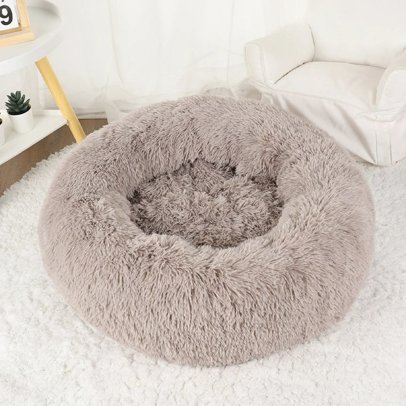 Furry Dream Donut
