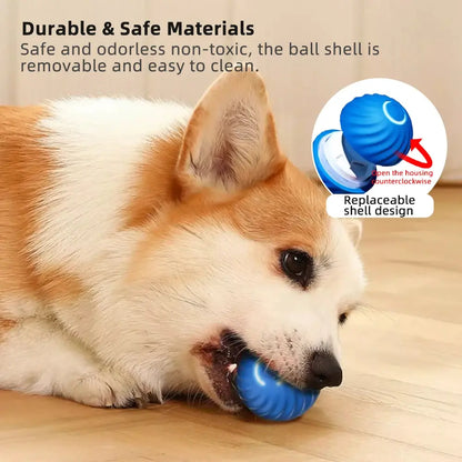 Tail Wag Tumbler