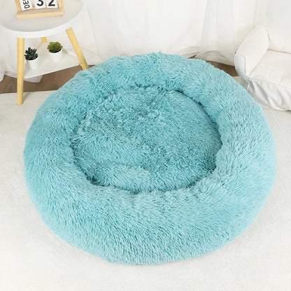 Furry Dream Donut
