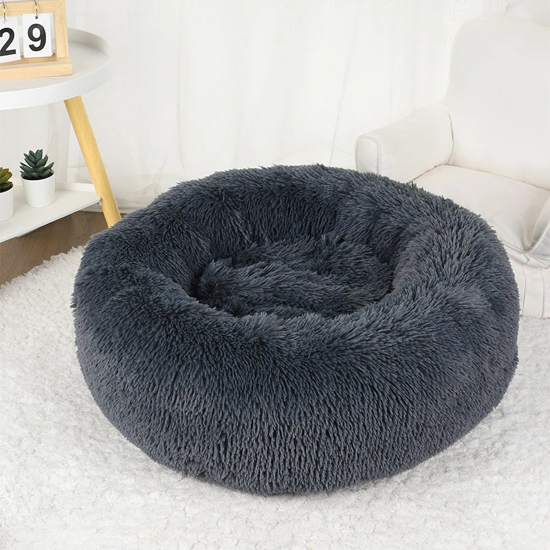 Furry Dream Donut