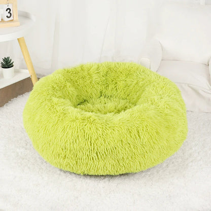 Furry Dream Donut