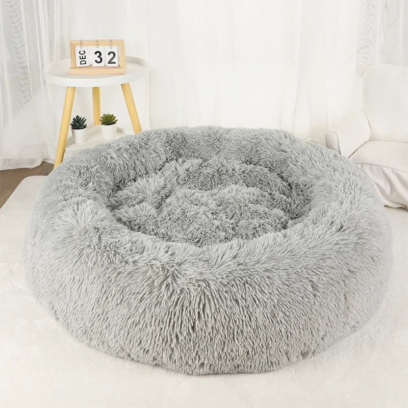 Furry Dream Donut